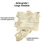 10. Jelito grube - Large intestine