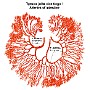 12. Tętnice jelita cienkiego - Arteries of intestine